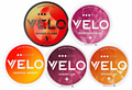 Bundle of 5: VELO 10mg Tropical