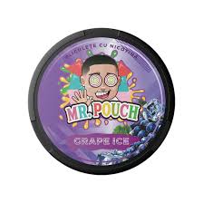 MR.POUCH Grape Ice 20MG